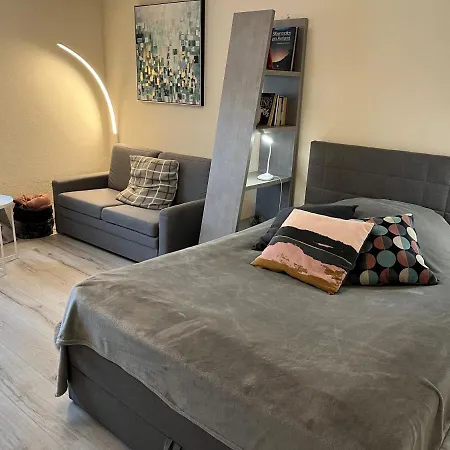 Alice Apartment Wackernheim Ingelheim am Rhein Zewnętrze zdjęcie